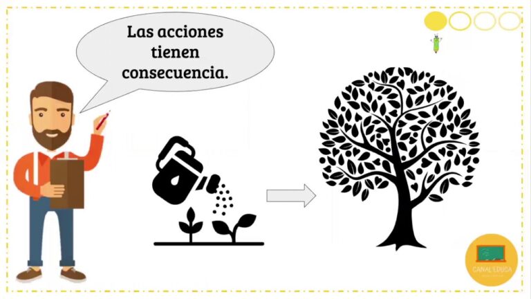 accion consecuencia