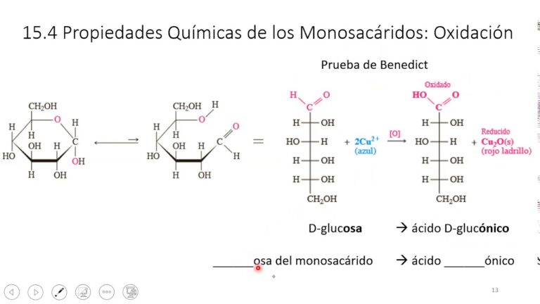 Cuál es la diferencia entre azúcar reductor y no reductor 2 azucares reductores