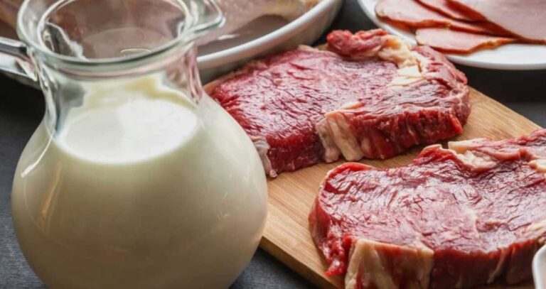 Cómo se clasifican los bovinos en Colombia 2 carne leche