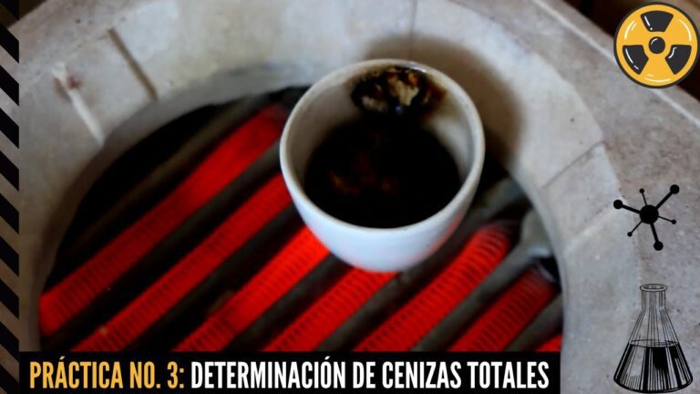 Qué son las cenizas totales en los alimentos 2 cenizas totales