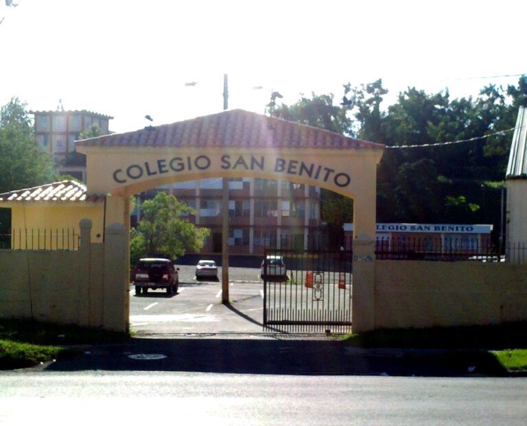 colegio san
