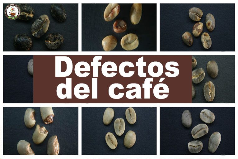 defectos cafe