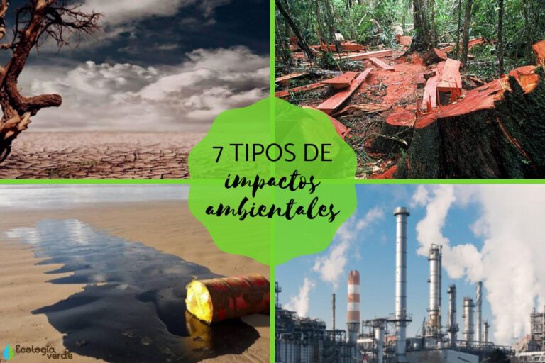 Cómo elaborar una matriz de aspectos e impactos ambientales 2 impactos ambientales
