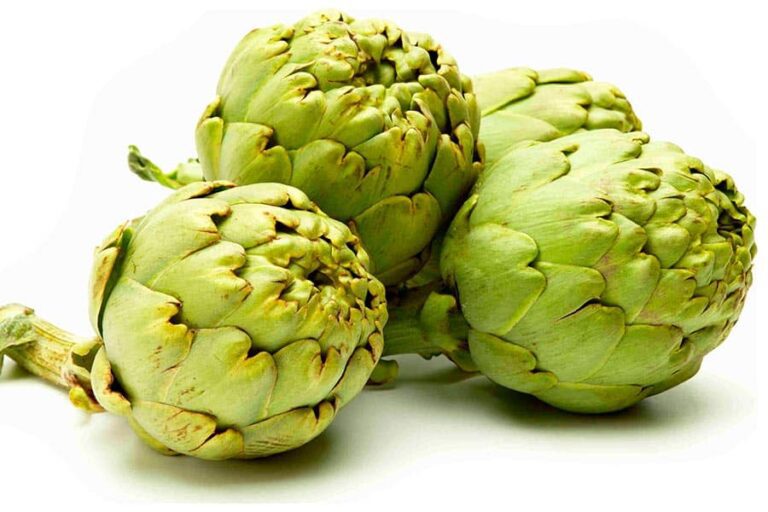 Qué beneficios tiene la alcachofa como hortaliza 2 la alcachofa