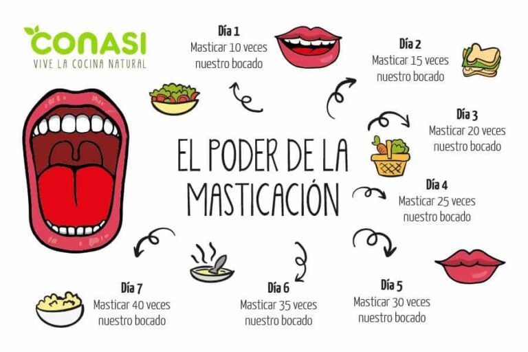 la masticacion