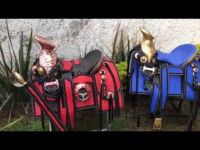 Cómo elegir las mejores monturas para lentes 2 las monturas