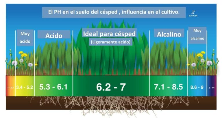 Cómo medir el pH del suelo de manera efectiva 2 ph suelo