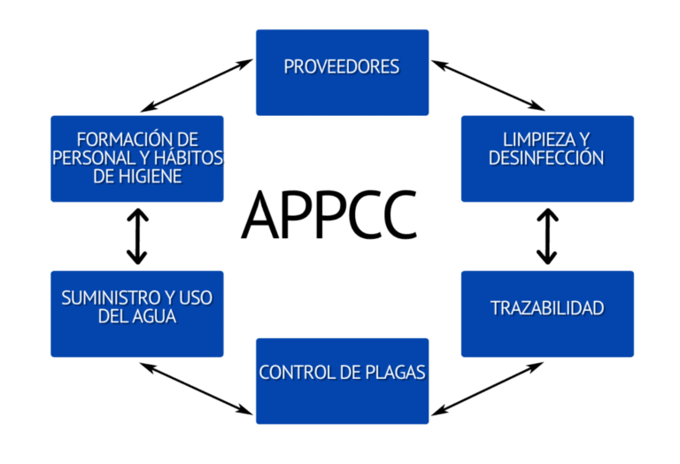 Qué son los prerrequisitos HACCP según el Codex Alimentarius 2 prerrequisitos haccp