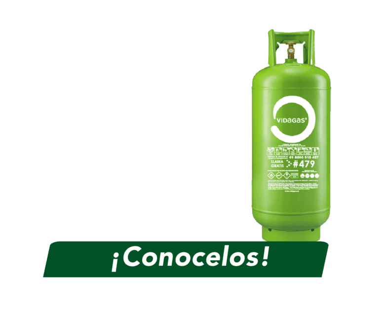 vida gas